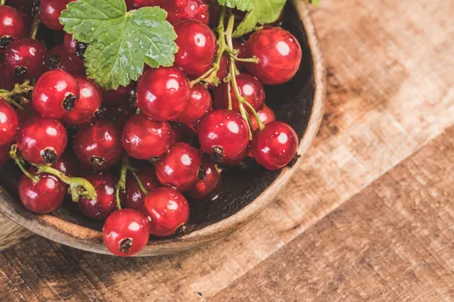 Почему опадают ягоды смородины? 5 основных причин
