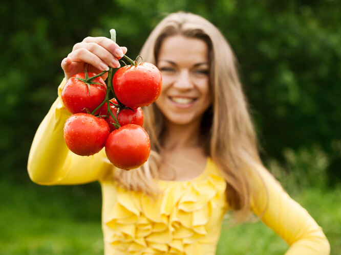 Опытные садоводы советуют заниматься профилактикой фитофтороза с первых дней посадки томатов
