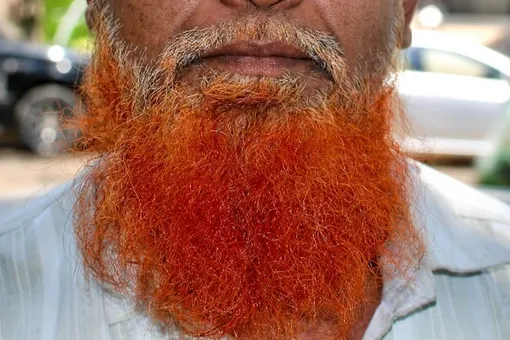 У некоторых мужчин борода рыжеет после 40 лет