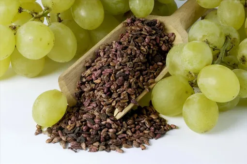 Польза галловой кислоты в виноградных косточках