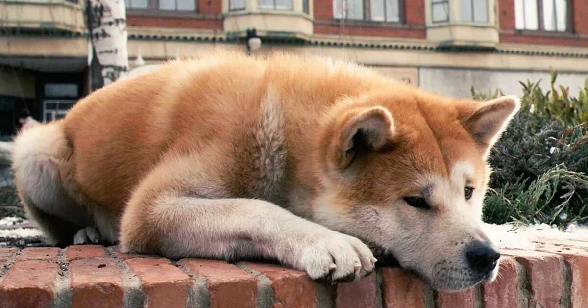 2. Соберите необходимые предметы