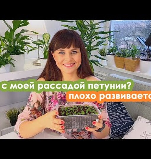 Нажми и смотри