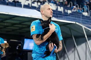 «Собакам лучше дома»: игроки «Зенита» появились на матче с щенками из приюта