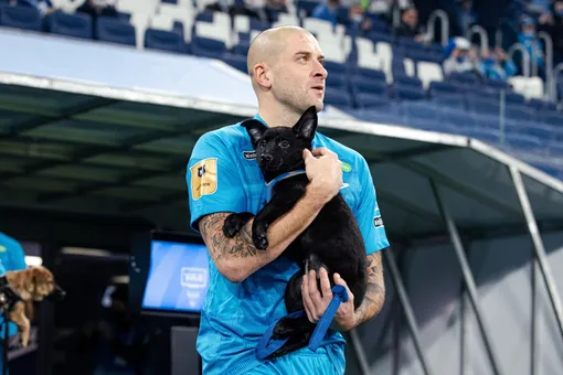 «Собакам лучше дома»: игроки «Зенита» появились на матче с щенками из приюта