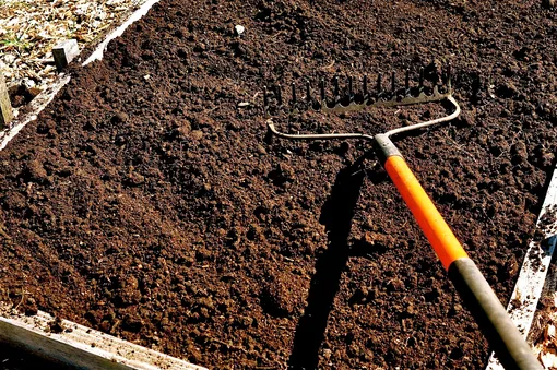 Подготовка грядки под посев озимой моркови