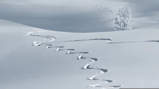 на снегу зигзагообразные следы от шагов