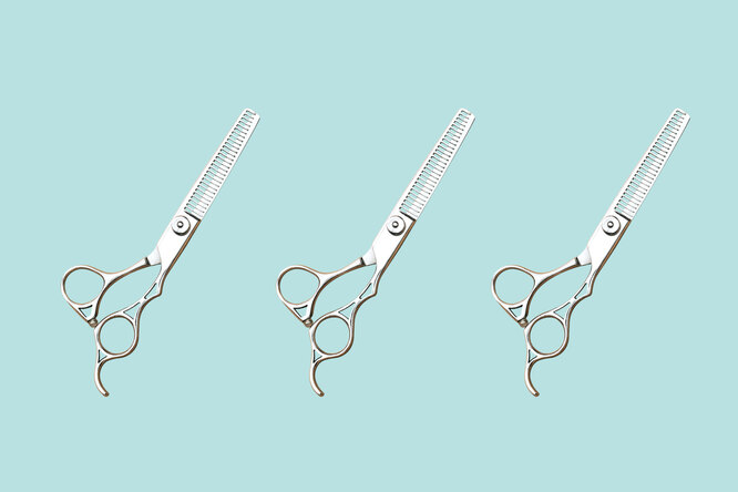 Неужели мы всегда делали неправильно? Остановитесь и не стригите их мокрыми Неужели мы всегда делали неправильно? Остановитесь и не стригите их мокрыми