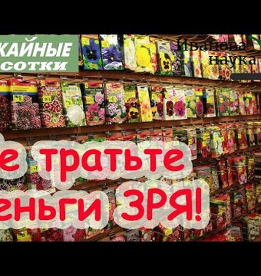 Как правильно хранить семена в&nbsp;городской квартире: полезные советы для&nbsp;дачников