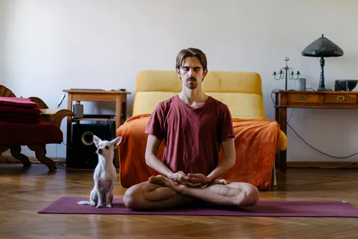 Дога-йога: пес Панчо смешно повторяет за хозяином позы из йоги (видео)