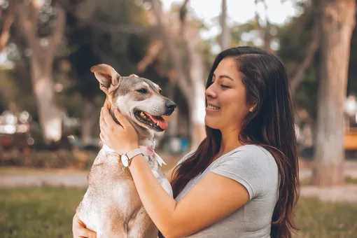 В 95% случаев терапевтическим животным выбирают собак