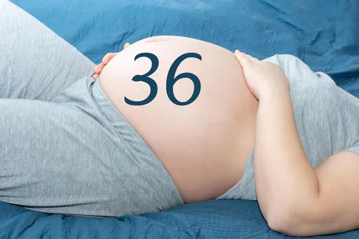 36-ая неделя беременности от зачатия: готовность к родам, развитие малыша, ощущения мамы и необходимый чек-ап