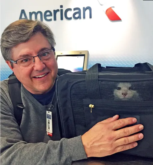 пилот нашел кота в аэропорту