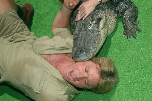 Огромная рептилия набросилась на сына «охотника за крокодилами»