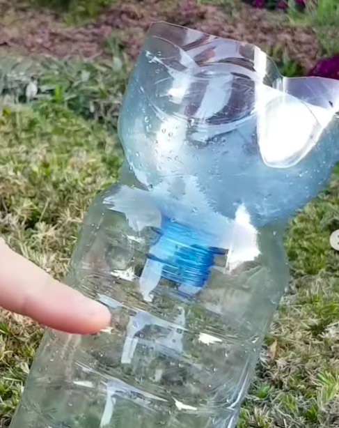 ловушка для шершней и ос своими руками из пластиковой бутылки