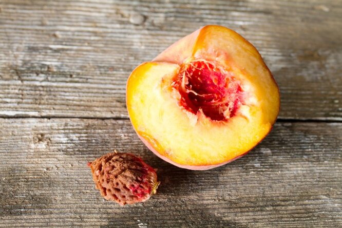 Как вырастить персик из косточки