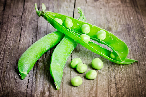 Какие сорта гороха лучше адаптированы к региональным климатическим условиям