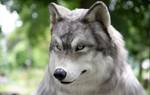 реалистичный костюм волка
