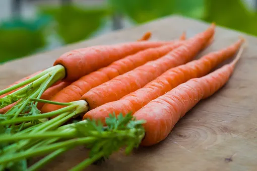 Сортов моркови насчитывается огромное множество.