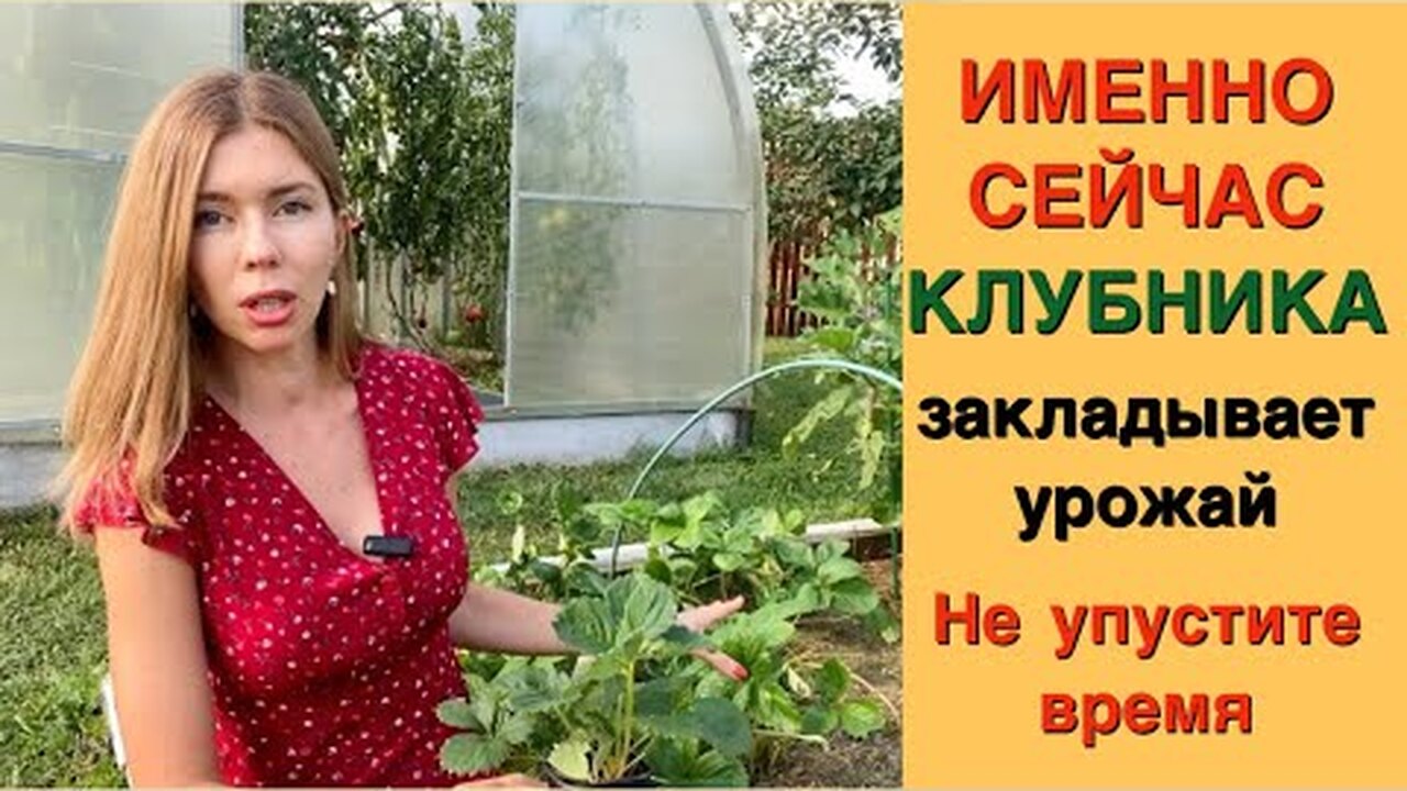 Klikněte a uvidíte