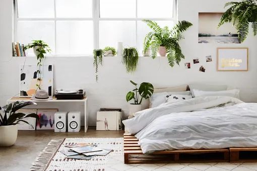Вдохновение и идеи для дизайна спальни с комнатными растениями