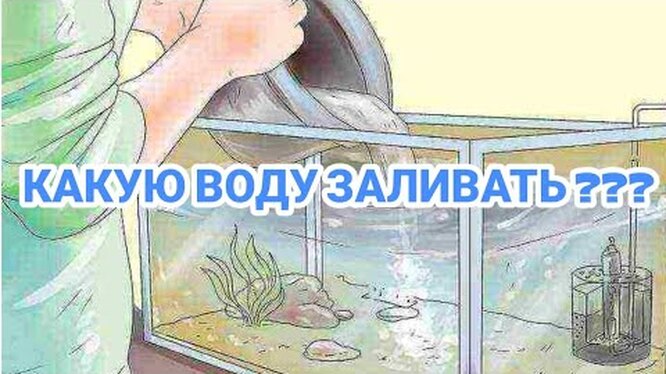 Какую воду нужно наливать в аквариум для рыбок