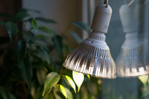 лампа для подсветки комнатных растений