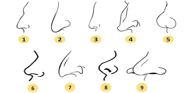 Выберите вариант, который наиболее сильно похож на ваш нос по форме и длине: