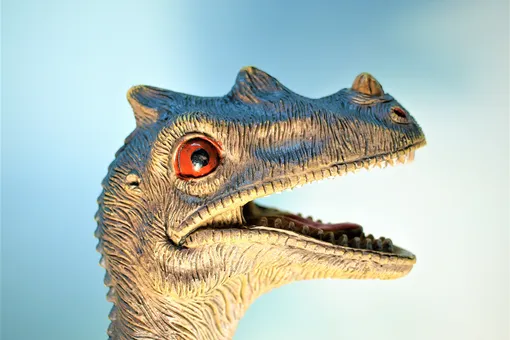 Заботились о детях: впервые найдено гнездо динозавров с яйцами и родителем