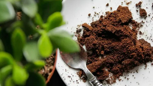 Кофейная гуща в сухом виде: улучшение структуры почвы