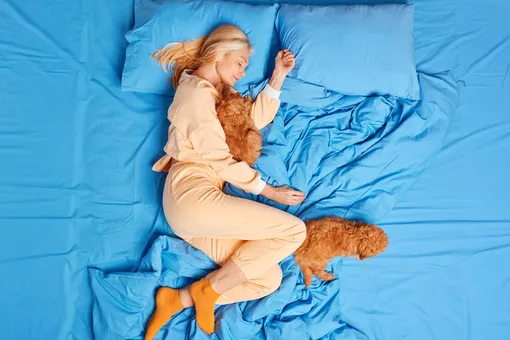 Девушка спит на кровати с собаками