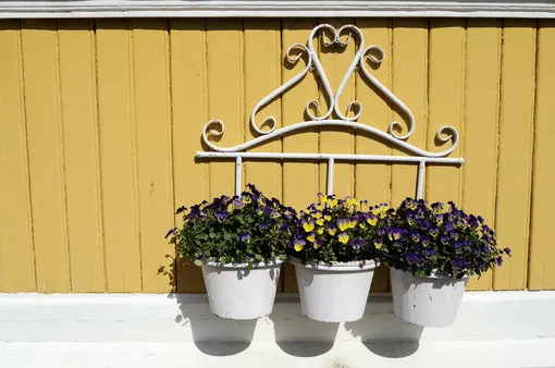 Подвесные корзины с цветами в палисаднике дома