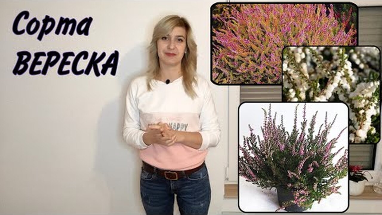 Klikněte a uvidíte