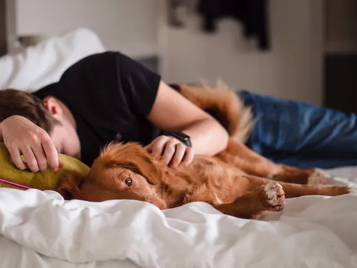 Мужчина спит рядом с собакой