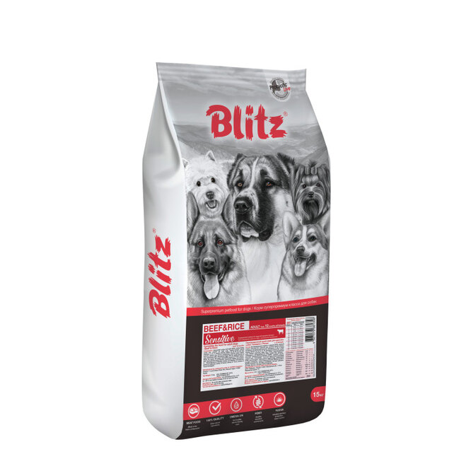 Blitz Blitz