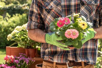 Лампы для растений: продуманные модели и интересные новинки