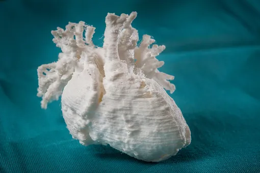 Ученые напечатали на 3D-принтере живое человеческое сердце