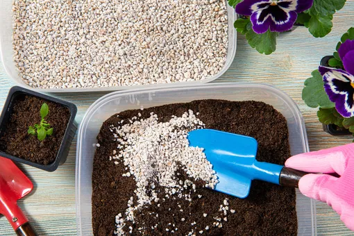 Как улучшить состав почвы? 3 средства, которые можно добавлять почти всегда