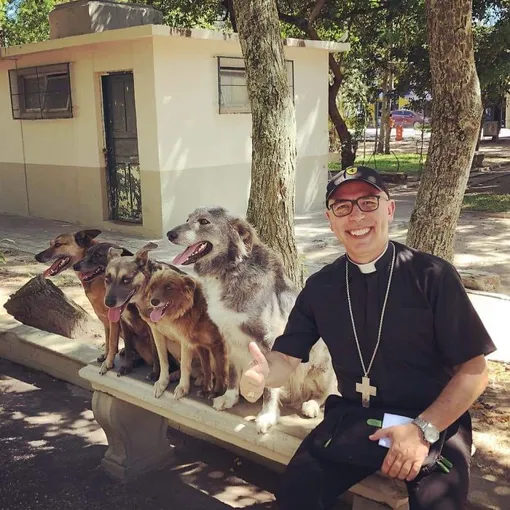 бразильский священник помогает собакам