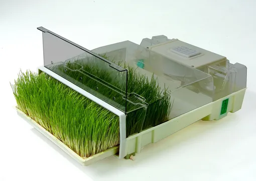 Описание способа проращивание микрозелени при помощи технологичных устройств