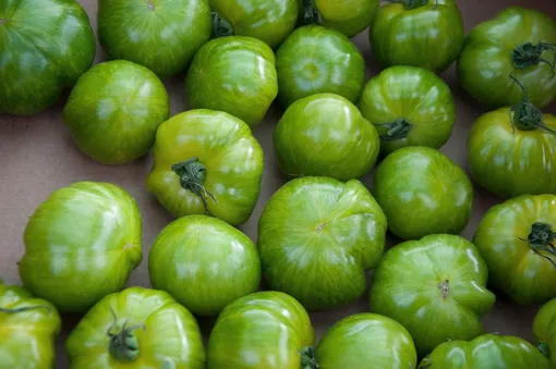 При правильном хранении зелёные помидоры будут дозревать постепенно в течение 30-40 дней
