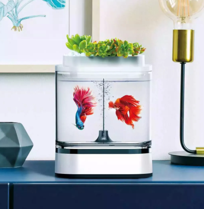 Ozon, акваферма Xiaomi аквариум Mijia Geometry Mini Lazy Fish Tank Pro C300, 3 653 руб.