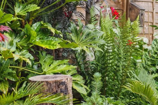 Тренд для ленивых: что такое хаотичное садоводство и почему оно набирает популярность