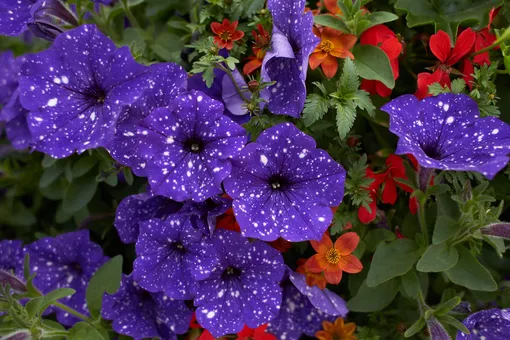 f2be0b3df91c0cd82e8e337e48ed05f0_cropped_510x340