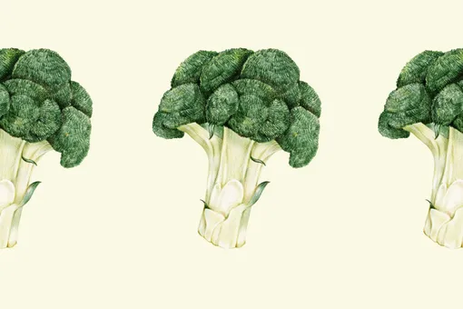 Почему диетологи считают брокколи самым важным овощем? В чем его польза и вред