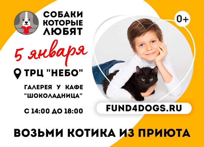 Выставка кошек 5 января 2023 года в ТРЦ «Небо», Солнцево, Москва