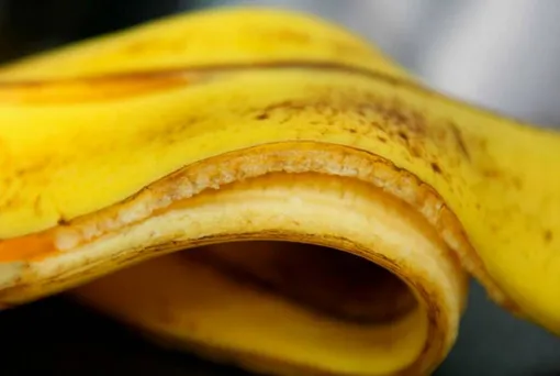 Состав и питательность банановой кожуры для растений
