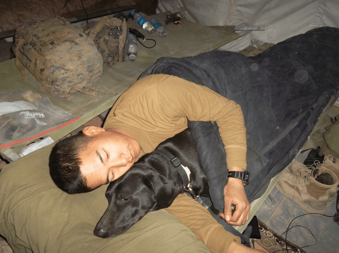 мужчина и собака спят