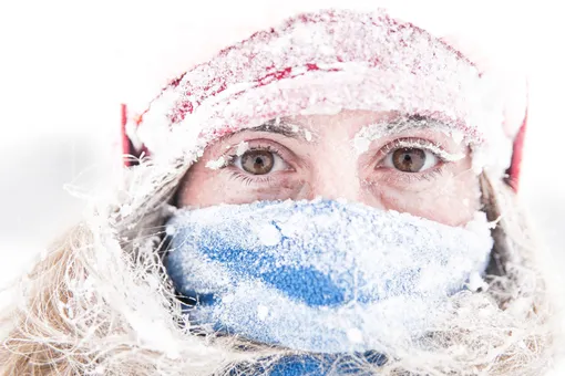 Остаемся зимовать. 10 лучших кремов для зимнего ухода