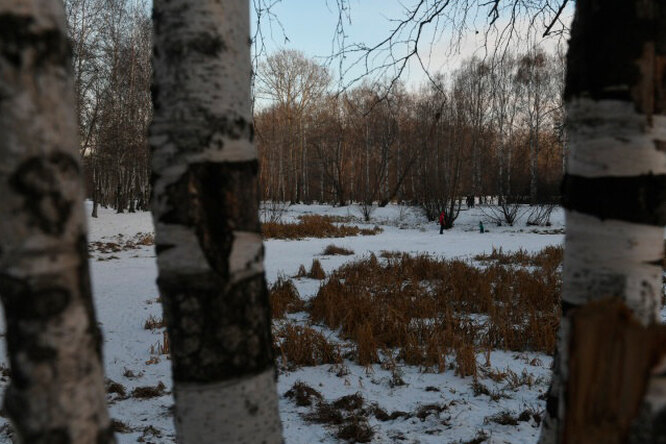 Родители 9-летнего мальчика, найденного мертвым в лесополосе Екатеринбурга, состояли в секте