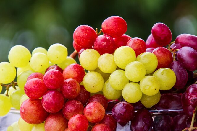 Уход за виноградом в августе: список работ